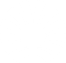 Pernod Ricard Palm Logo